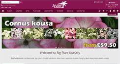 Desktop Screenshot of bigplantnursery.co.uk