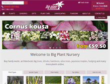 Tablet Screenshot of bigplantnursery.co.uk